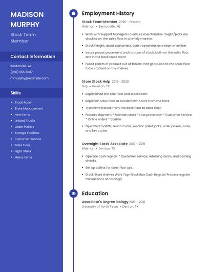 Resume example 4