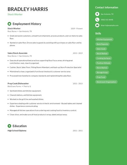 Resume example 4