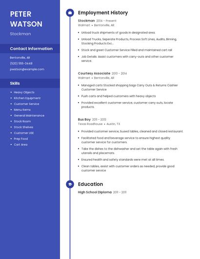 Resume example 5