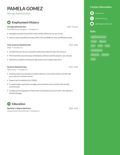 Resume example 5