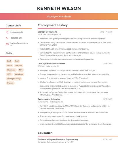 Storage Consultant Resume