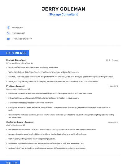 Storage Consultant Resume