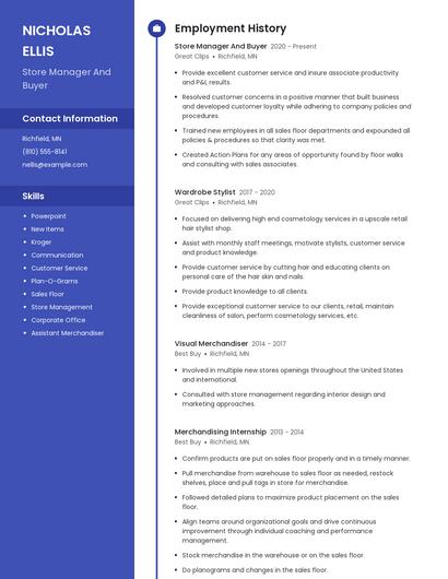 Resume example 4