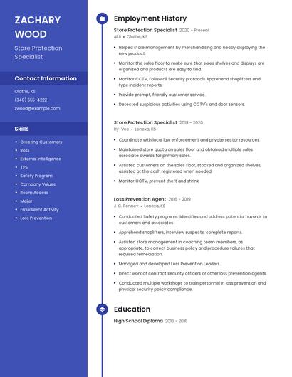 Resume example 5