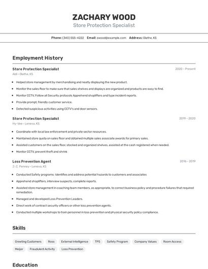 Resume example 2