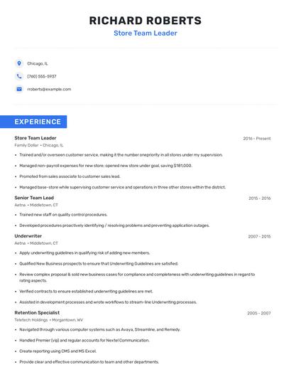 Store Team Leader Resume