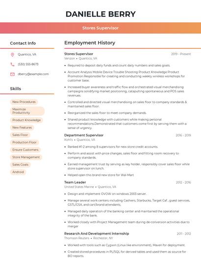 Resume example 3