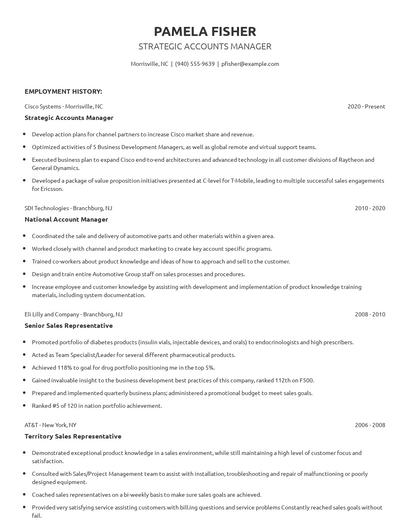 Strategic Accounts Manager Resume