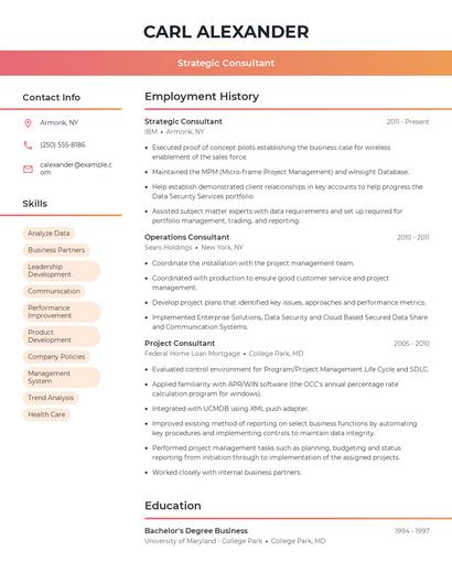 Strategic Consultant Resume