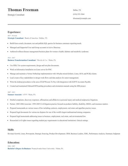 Strategic Consultant Resume
