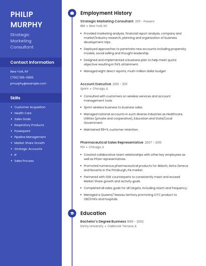 Strategic Marketing Consultant Resume