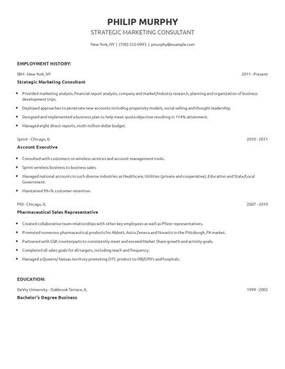 Strategic Marketing Consultant Resume