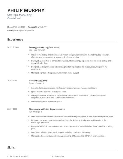 Strategic Marketing Consultant Resume