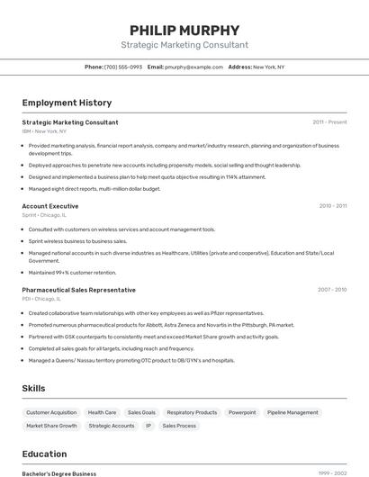 Strategic Marketing Consultant Resume