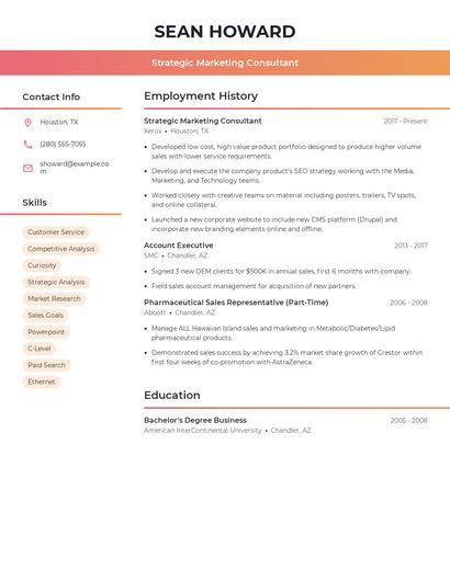 Strategic Marketing Consultant Resume