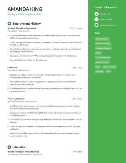 Strategic Marketing Consultant Resume