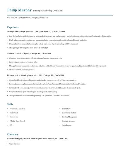 Strategic Marketing Consultant Resume