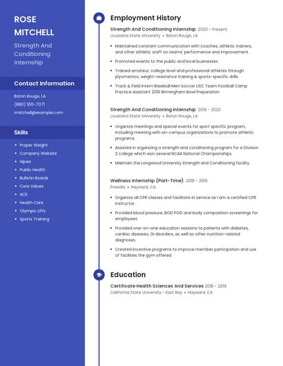 Resume example 5