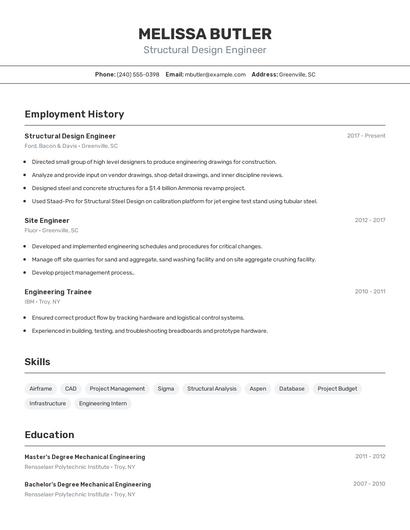 Resume example 2