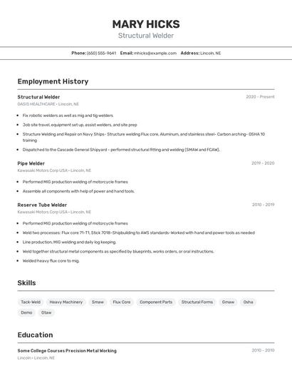 Resume example 2
