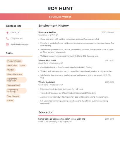 Resume example 3