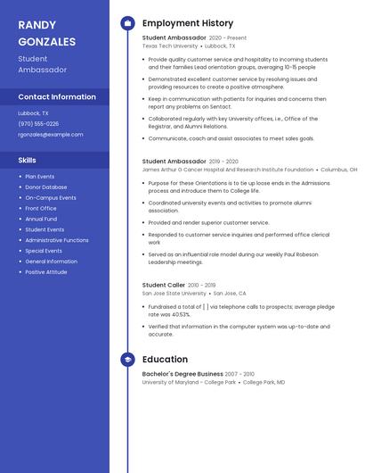 Resume example 4
