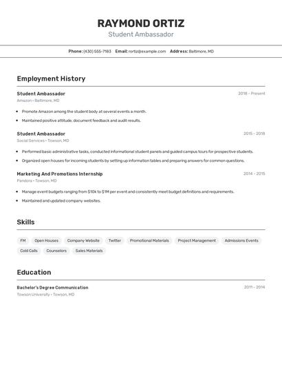 Resume example 2