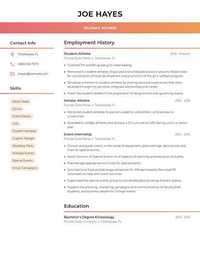 Resume example 3