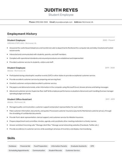 Resume example 2