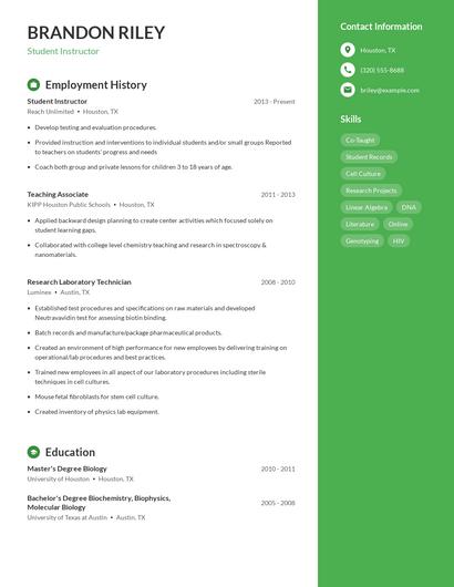 Resume example 4
