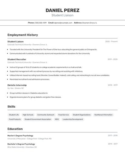 Resume example 2
