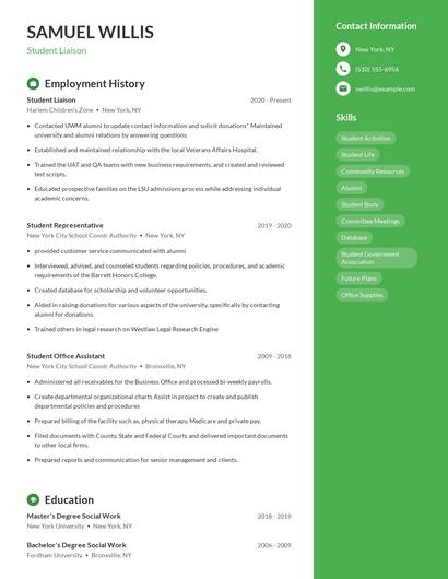 Resume example 5