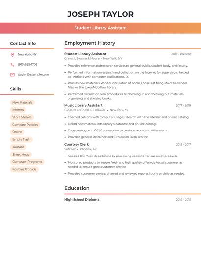 Resume example 3