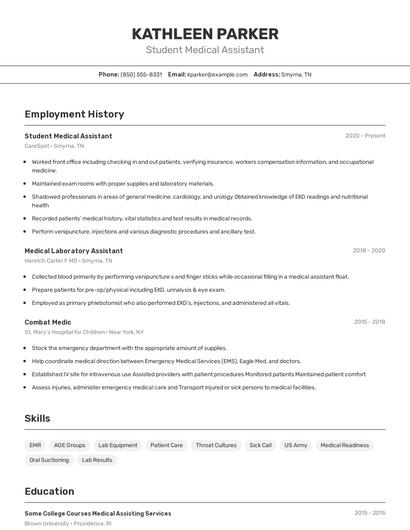 Resume example 2