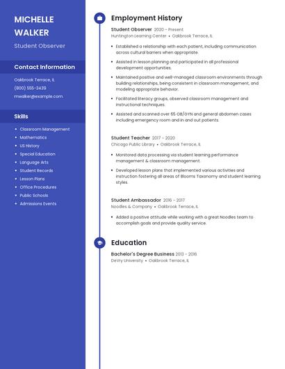 Resume example 5