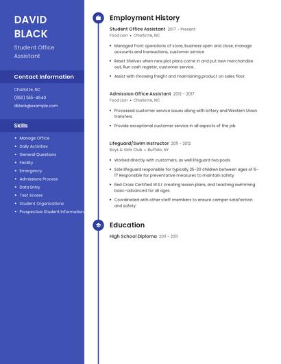 Resume example 4