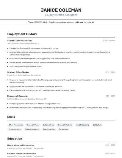 Resume example 2