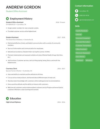 Resume example 5