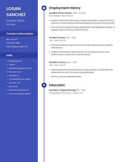 Resume example 4