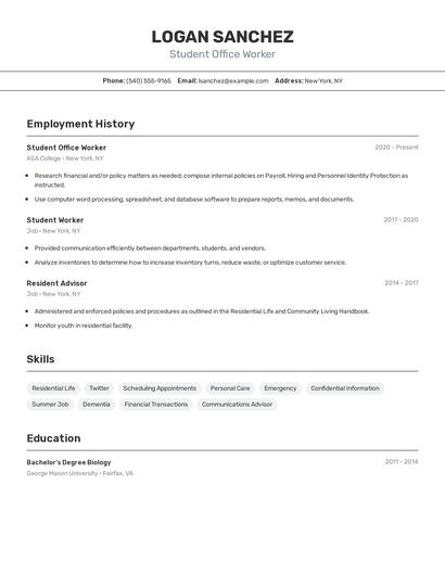 Resume example 2