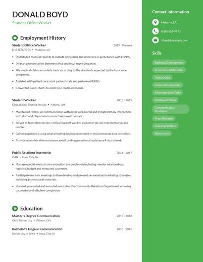 Resume example 5
