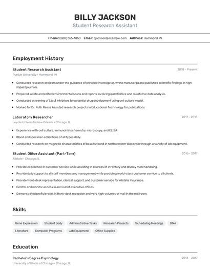 Resume example 2