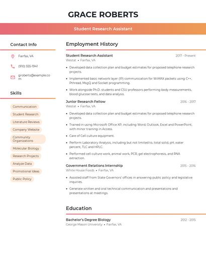 Resume example 3