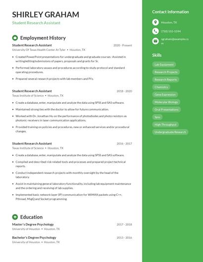 Resume example 5