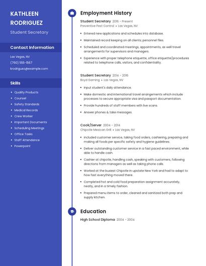 Resume example 5