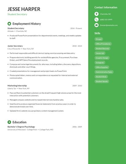 Resume example 4