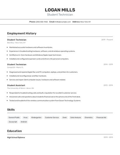 Resume example 2