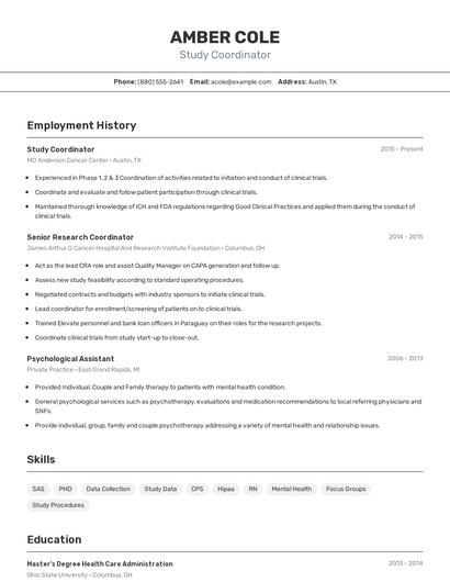 Resume example 2