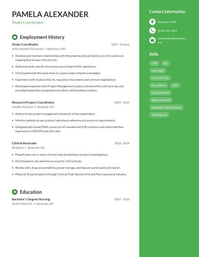 Resume example 5