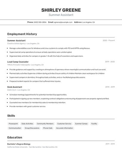 Resume example 2